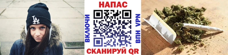 Бошки Шишки планчик  Купить где  Юрюзань 